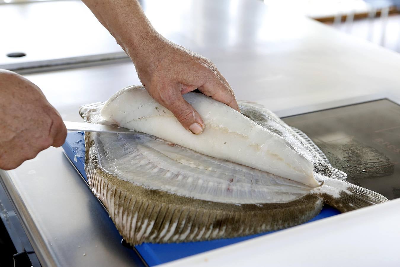 Apertura por todo lo alto