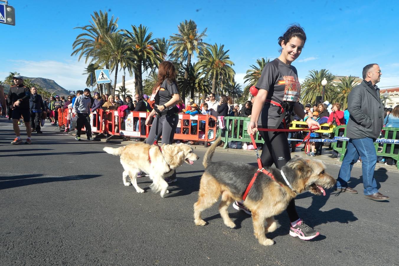 Disparados a la meta como un tiro