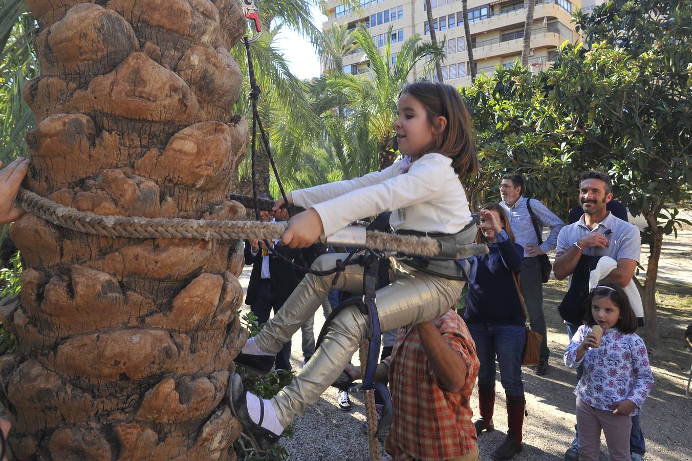 XV aniversario del Palmeral como Patrimonio de la Humanidad