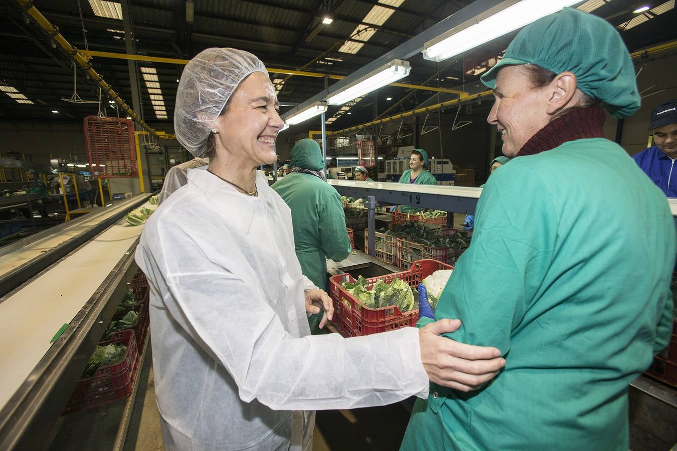 (10-12) La ministra Isabel García Tejerina visita la empresa hortofrutícola Verdimed.