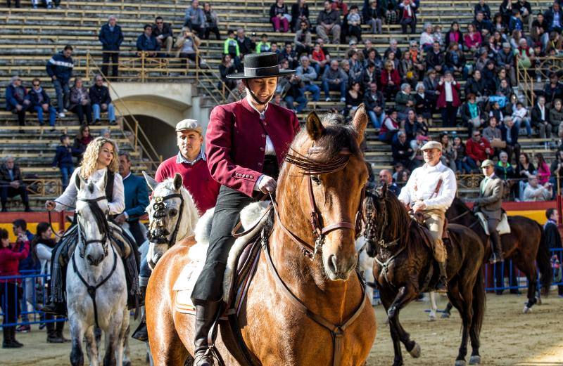 Bendición de mascotas en la Plaza de Toros de Alicante