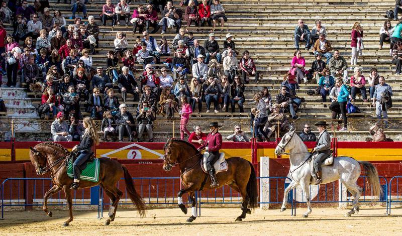 Bendición de mascotas en la Plaza de Toros de Alicante