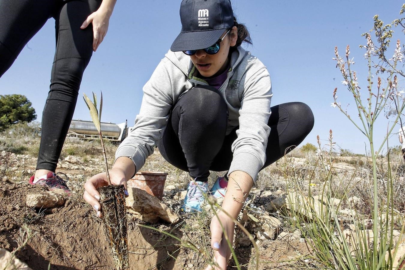 Reforestación en el Benacantil y en Orgeggia