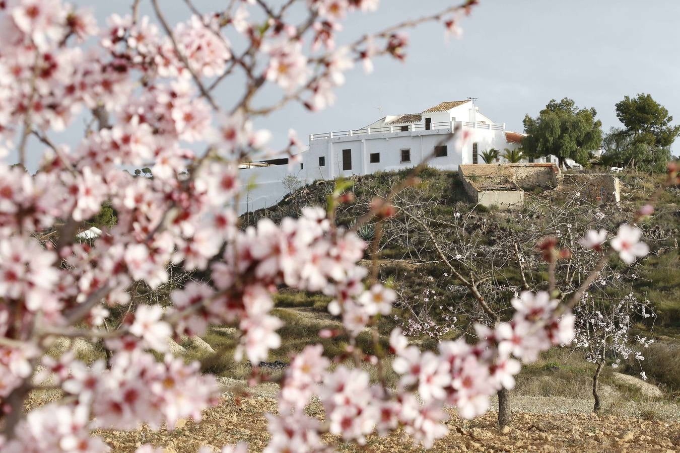 El turismo florece en el Campo de Murcia