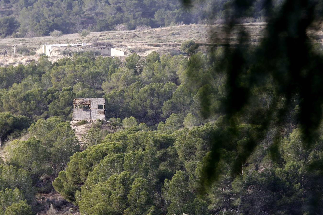 El turismo florece en el Campo de Murcia