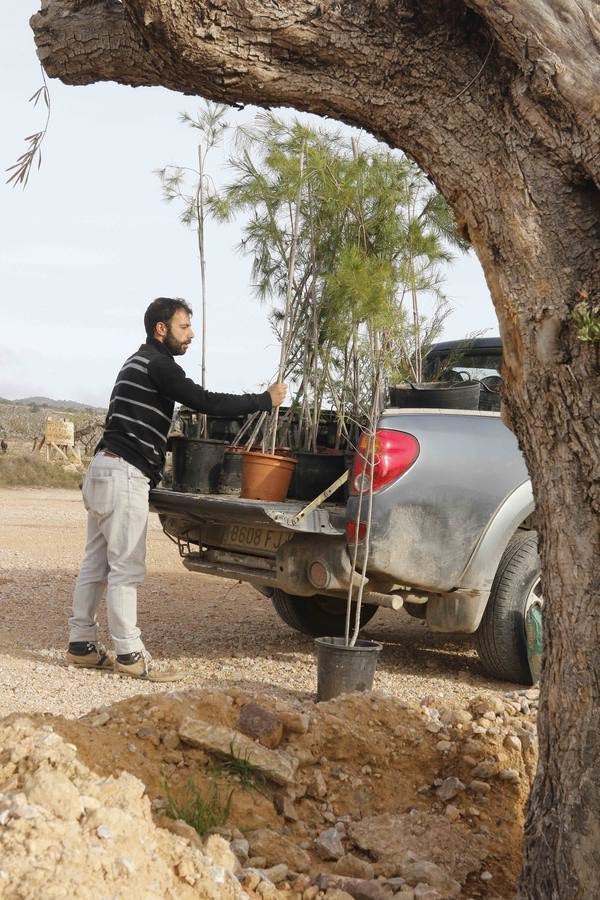 El turismo florece en el Campo de Murcia