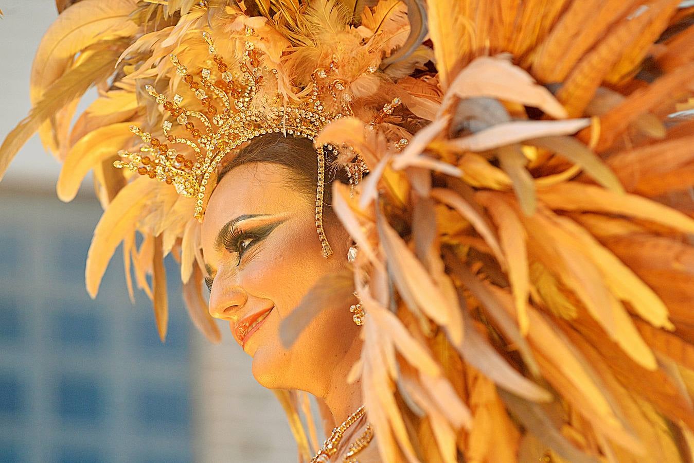 Belleza y plumas contra el viento