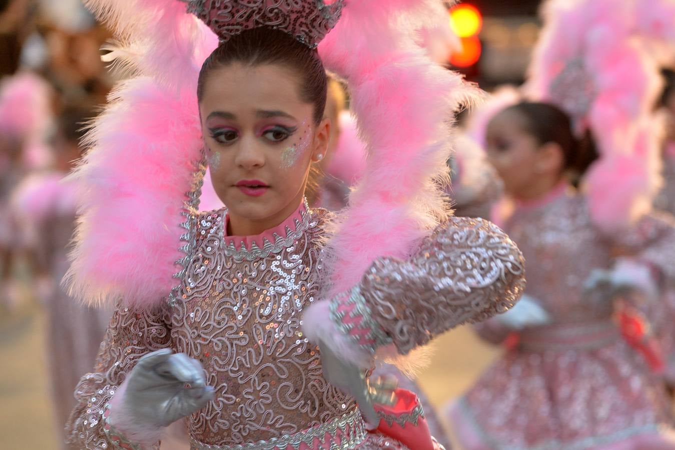 Belleza y plumas contra el viento