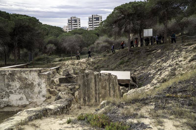 Visita de la directora general de Cultura al Parque Arqueológico de Guardamar