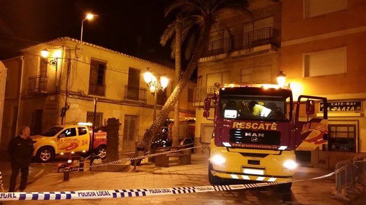 Caída de una palmera en Librilla.