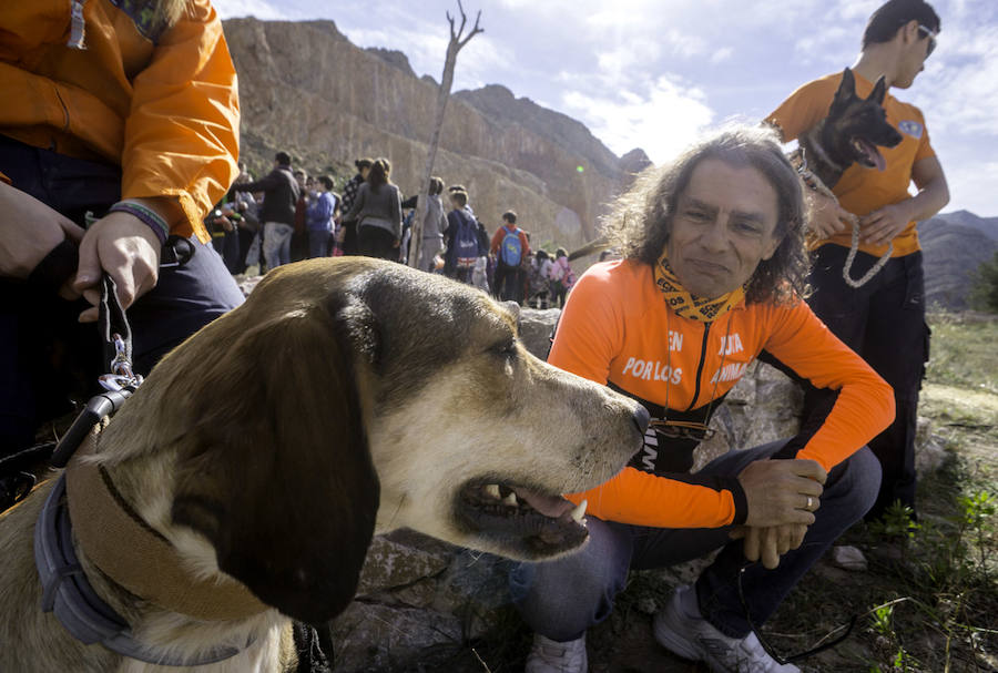 Plantación de árboles en la cantera de Orihuela