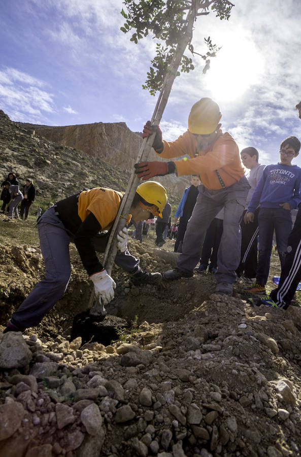Plantación de árboles en la cantera de Orihuela
