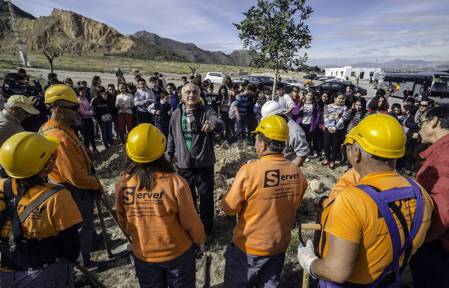 Plantación de árboles en la cantera de Orihuela