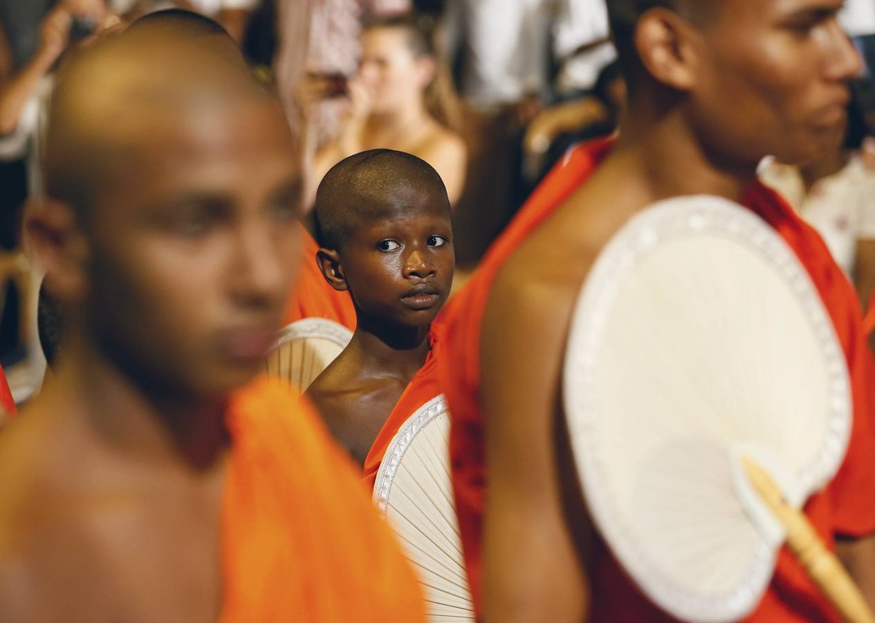 Bailando al son de Buda