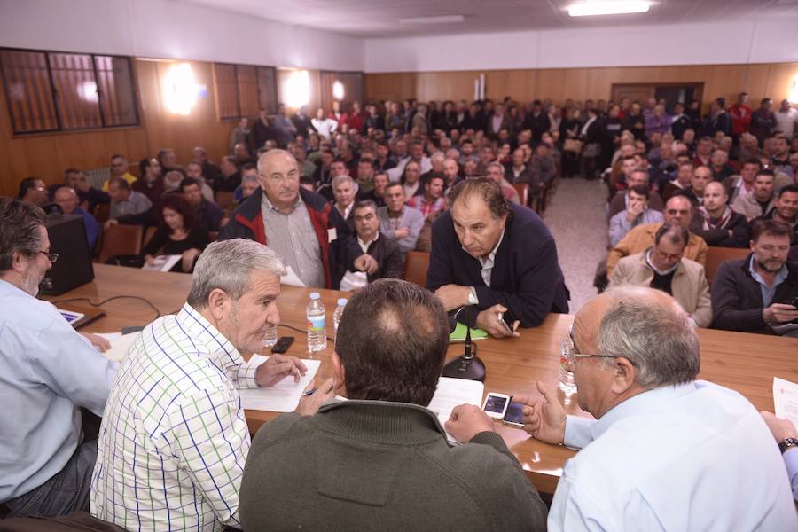 Asamblea de agricultores de Cieza con motivo de las heladas que han causado perdidas en los cultivos de esta temporada.