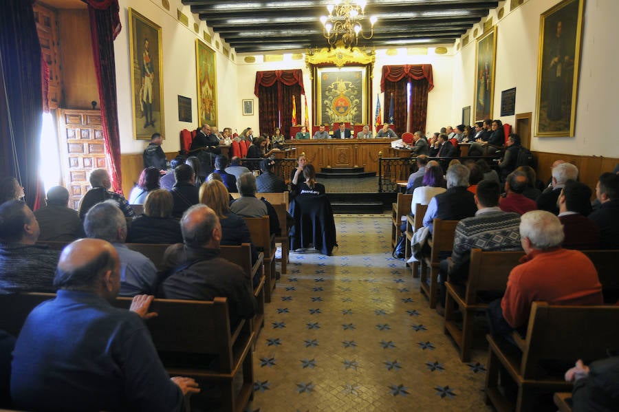 Pleno en el Ayuntamiento de Elche