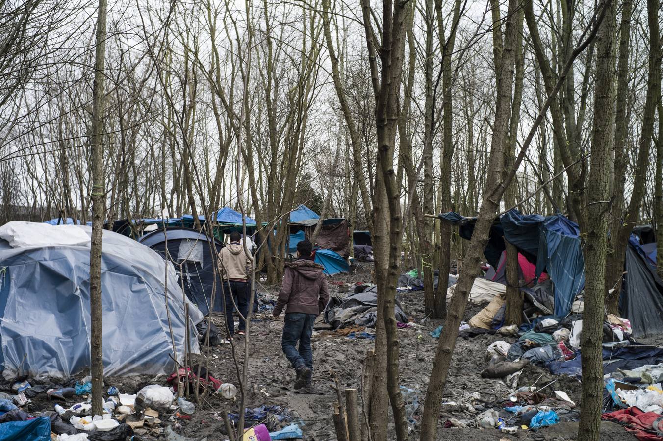 Arde &#039;La Jungla&#039;