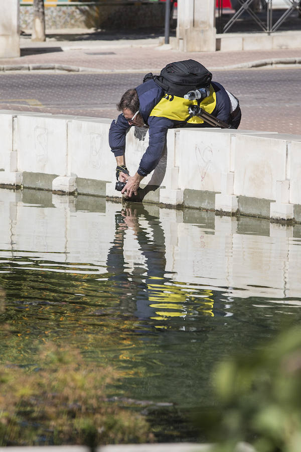 Las mejores imágenes del Maratón Fotográfico de Cartagena (3)