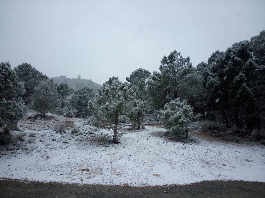 La nieve tiñe las zonas altas de la Región