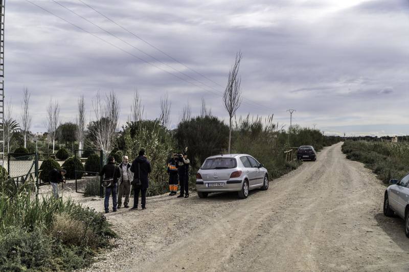 Almoradí potenciará el uso lúdico del soto tras el acuerdo con la CHS