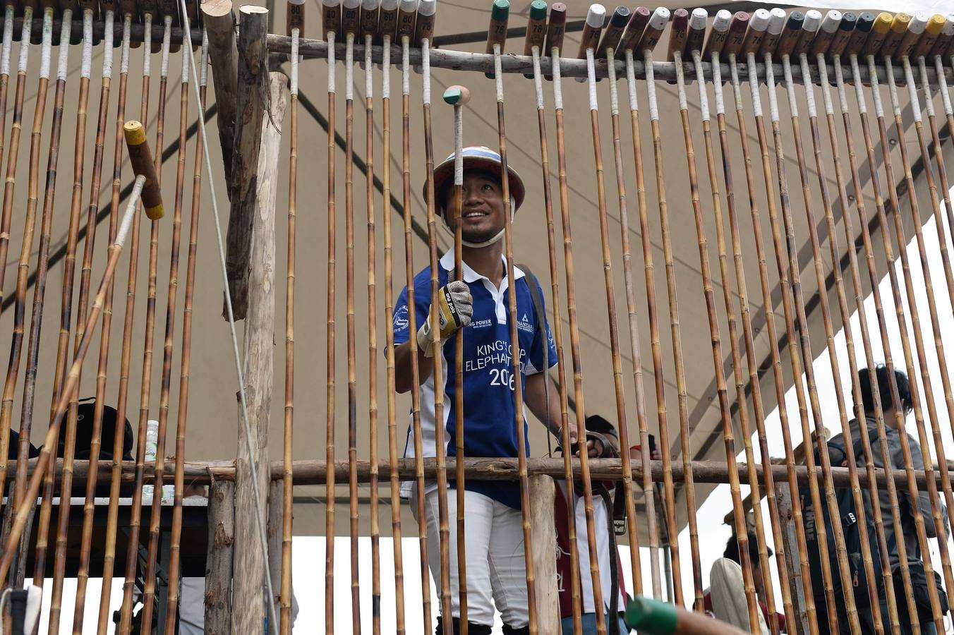 Polo con y para elefantes