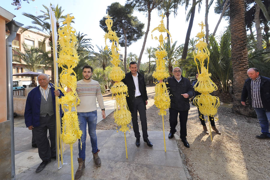 Elche presenta las palmas blancas