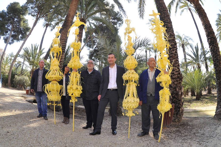 Elche presenta las palmas blancas