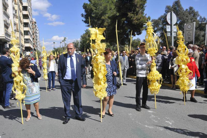 Domingo de Ramos en Elche