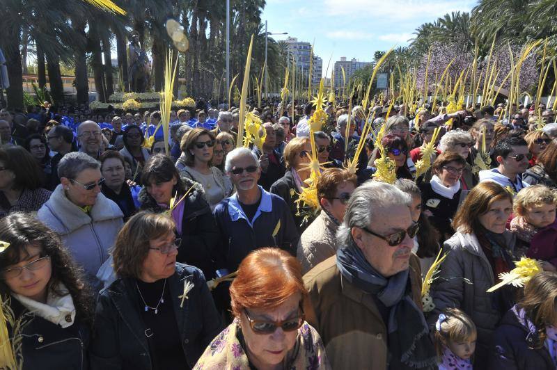 Domingo de Ramos en Elche