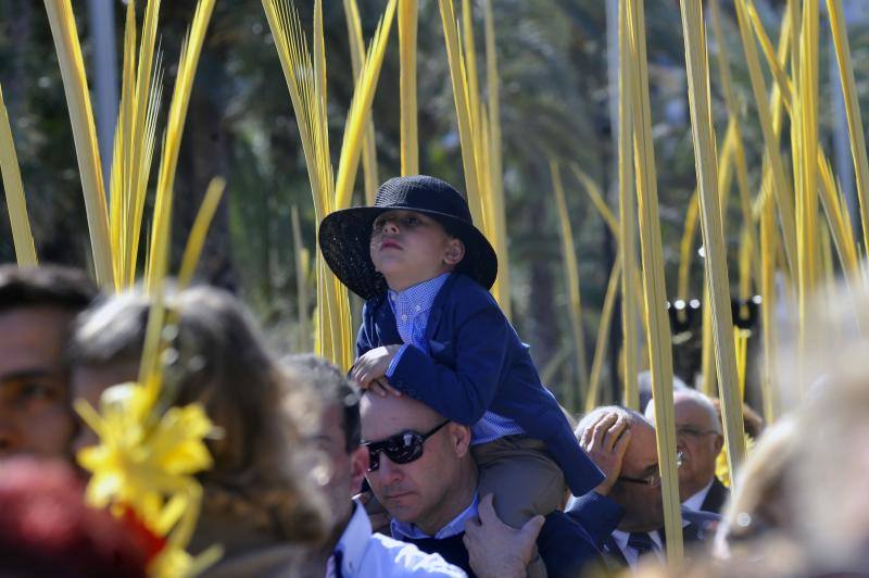 Domingo de Ramos en Elche