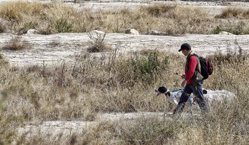 Buscan a dos jóvenes con síndrome de Asperger en Alicante