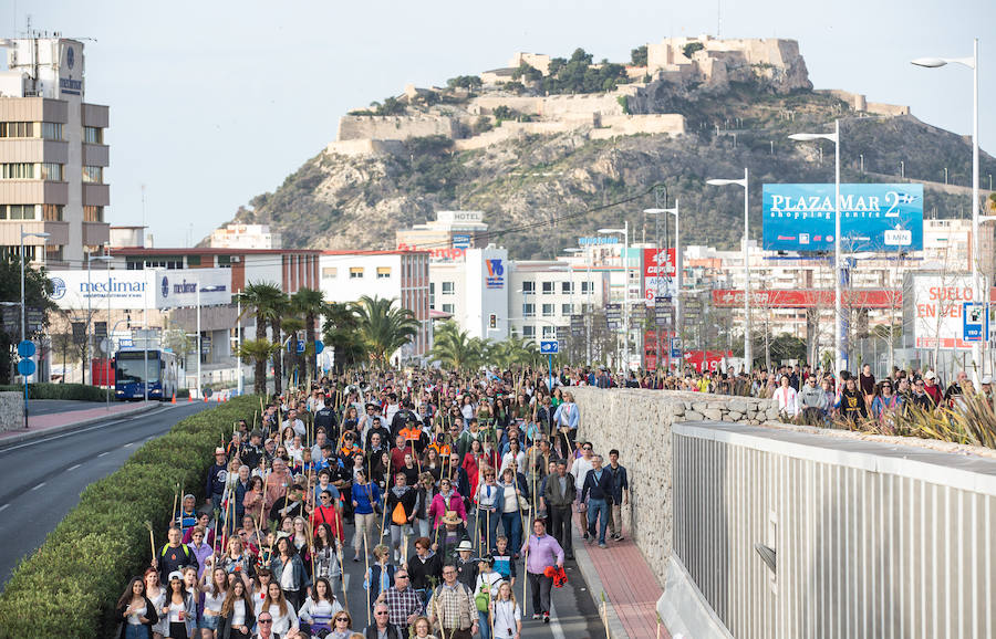 Miles de romeros participan en la Peregrina (II)