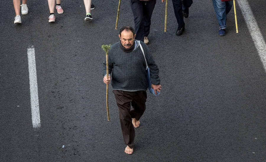 Miles de romeros participan en la Peregrina (II)