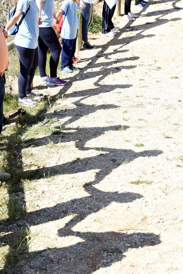 Cientos de personas abrazan el Castillo de Mula