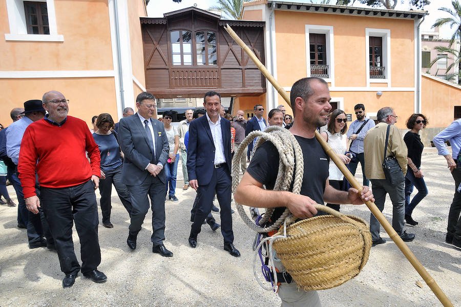 El Consell visita Elche