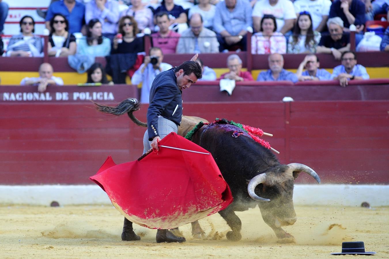 Festival de orejas y rabos contra el cáncer en Murcia