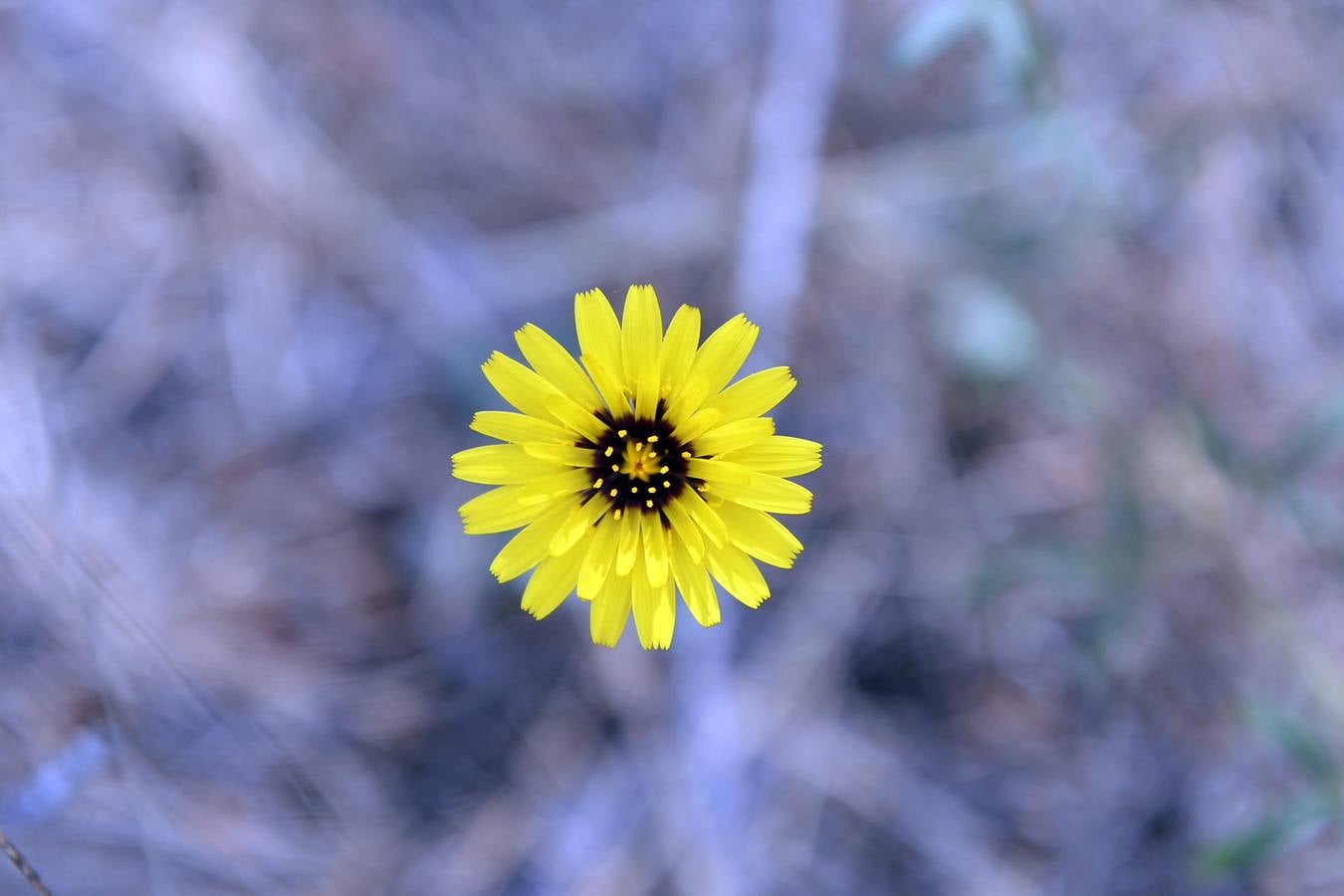 Miravete, leyendas, naturaleza e historia