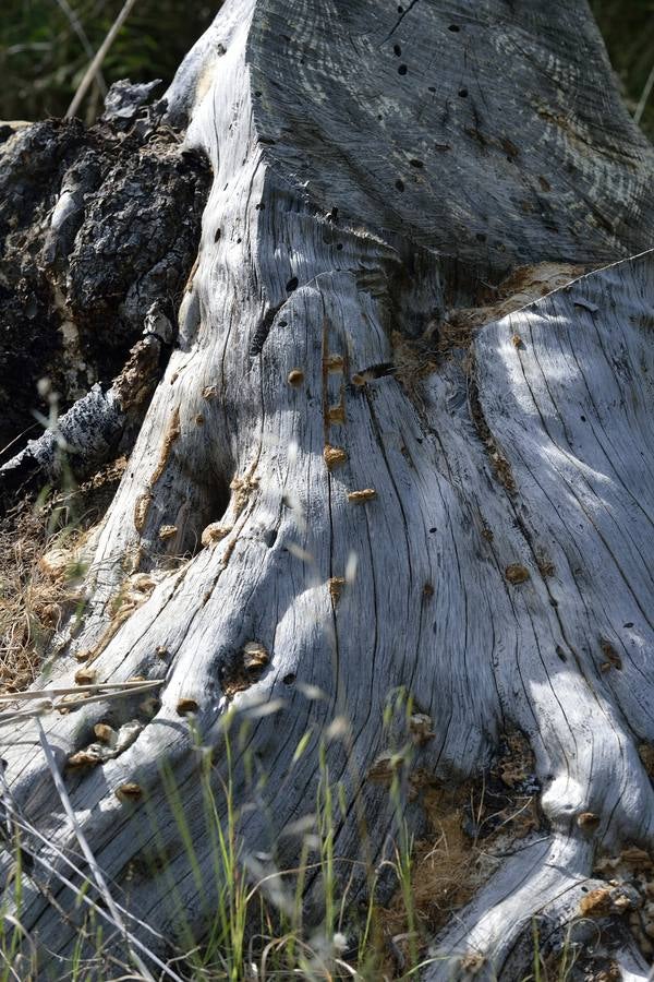 Miravete, leyendas, naturaleza e historia