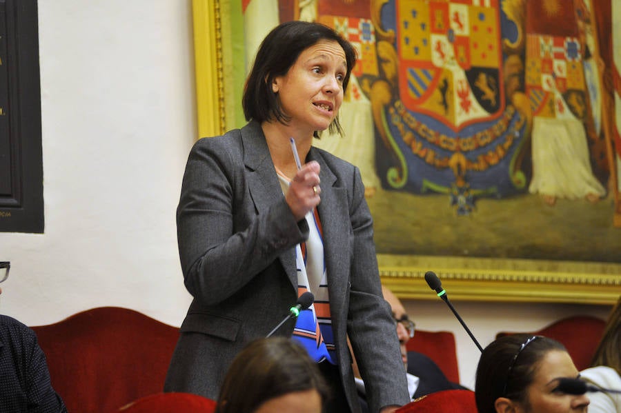 Pleno en el Ayuntamiento de Elche