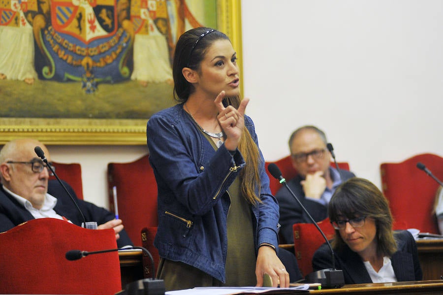 Pleno en el Ayuntamiento de Elche