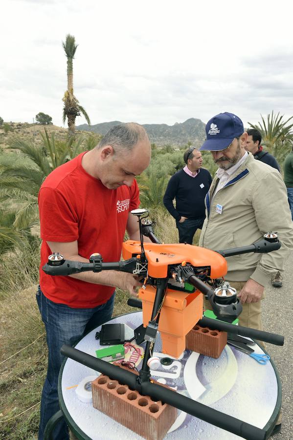 Un dron, nueva herramienta frente al picudo rojo