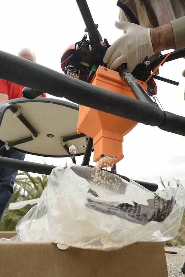 Un dron, nueva herramienta frente al picudo rojo