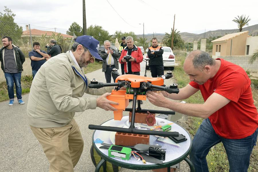 Un dron, nueva herramienta frente al picudo rojo