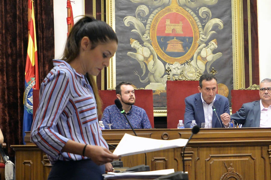 Pleno en el Ayuntamiento de Elche