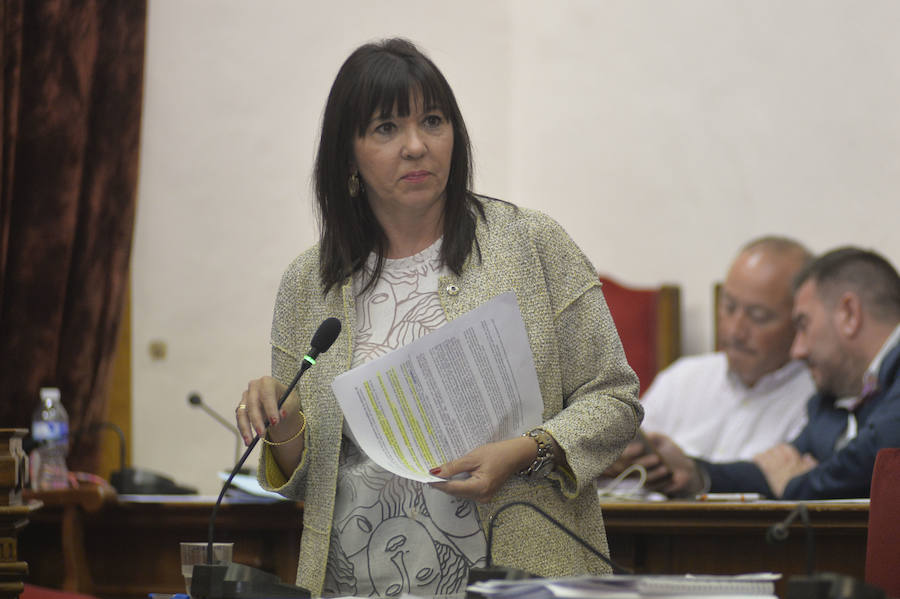 Pleno en el Ayuntamiento de Elche