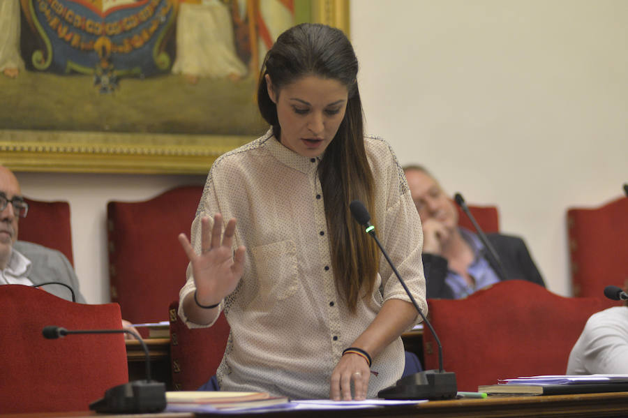 Pleno en el Ayuntamiento de Elche