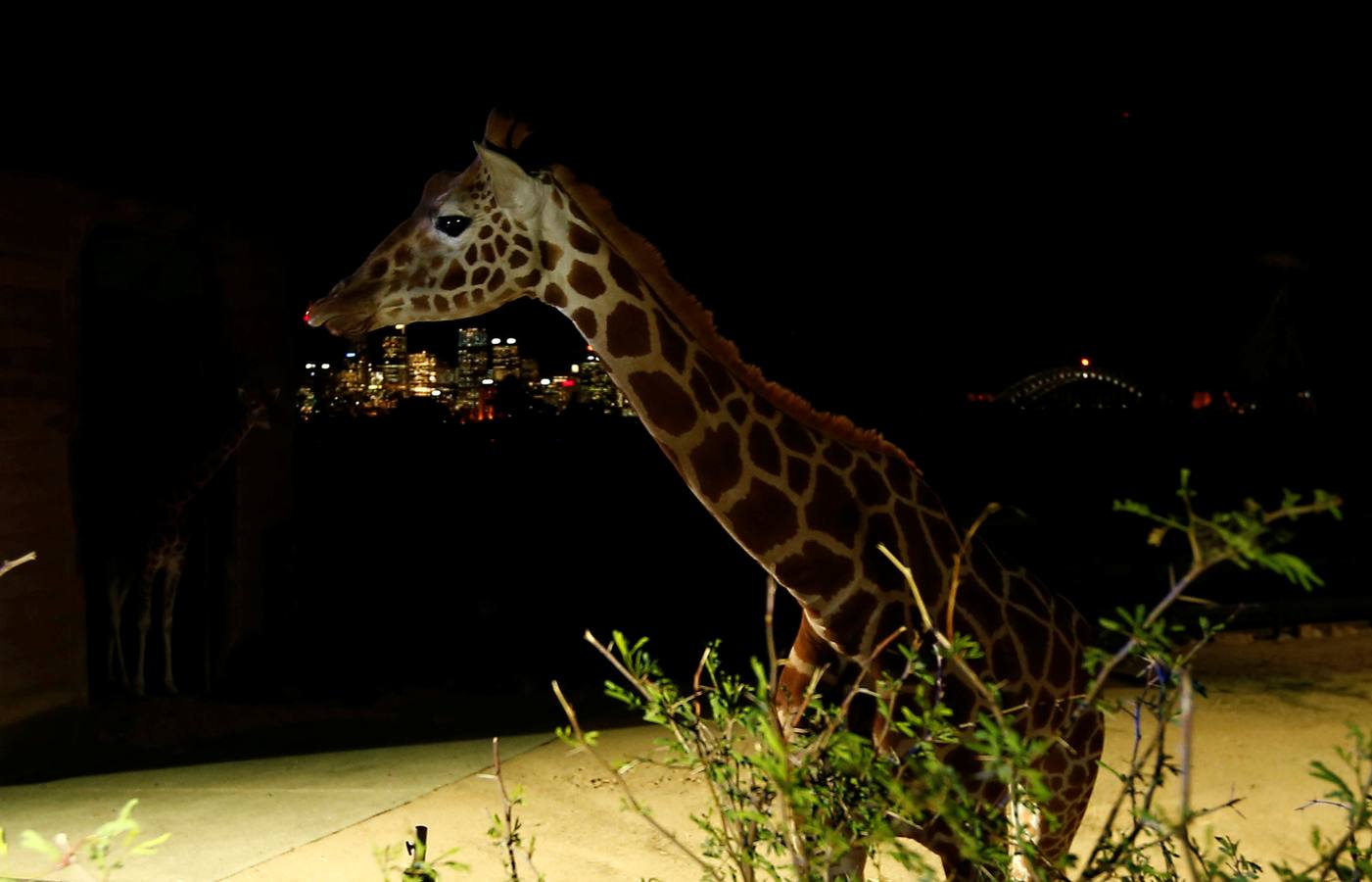 Luz y color en las antípodas