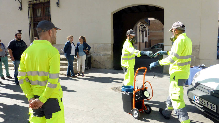 Campaña para eliminar ratas y cucarachas en Orihuela