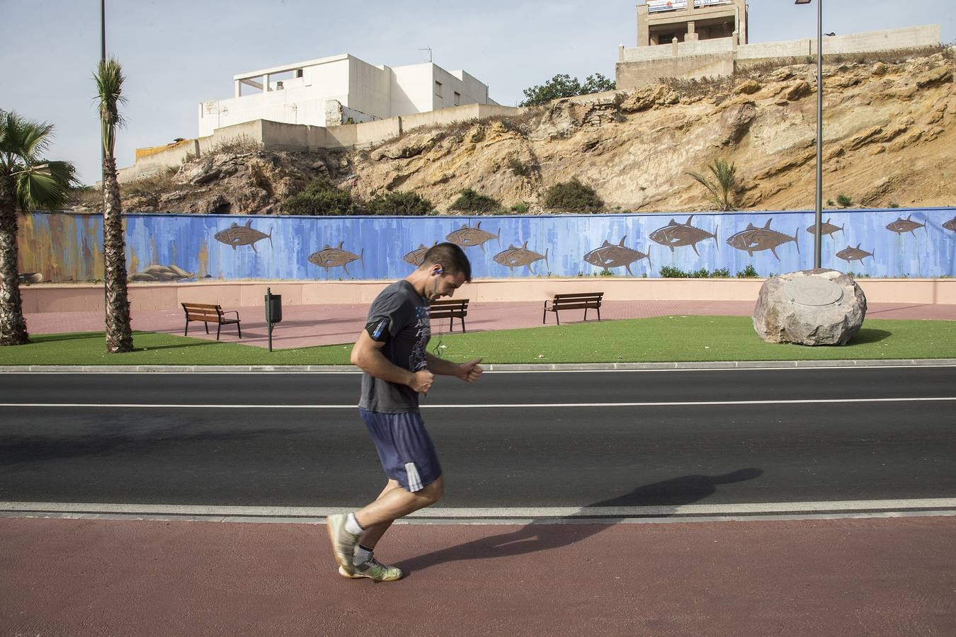 Murales con vida propia
