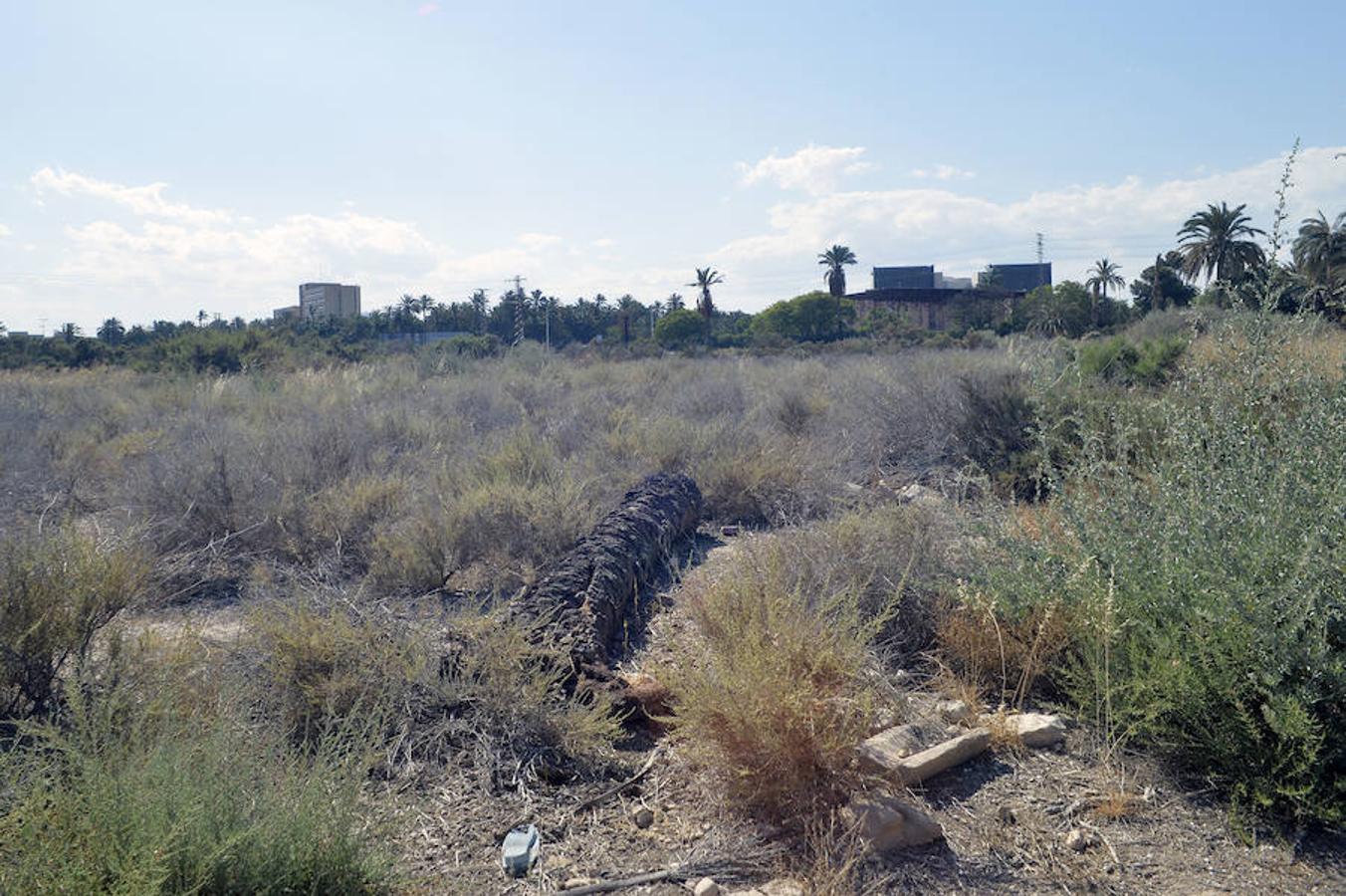 La construcción resurge en Elche con un nuevo sector residencial